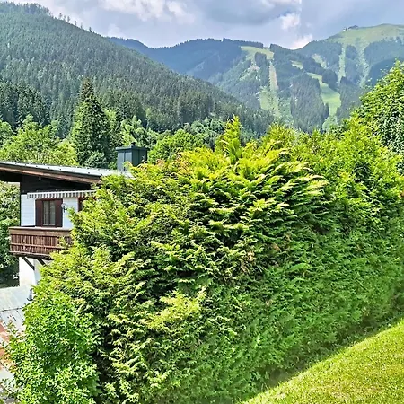Alpenhit Zell Am By Interhome Ferienhaus *