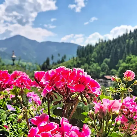 Holiday home Alpenhit Zell Am By Interhome Zell am See
